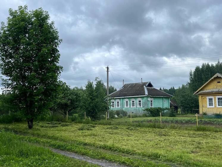 Скоростной интернет добрался до деревень Новгородской области