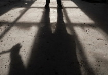 В тот период в южной столице, словно грибы после дождя, возникали, множились и разрастались всевозможные компании и фирмы
