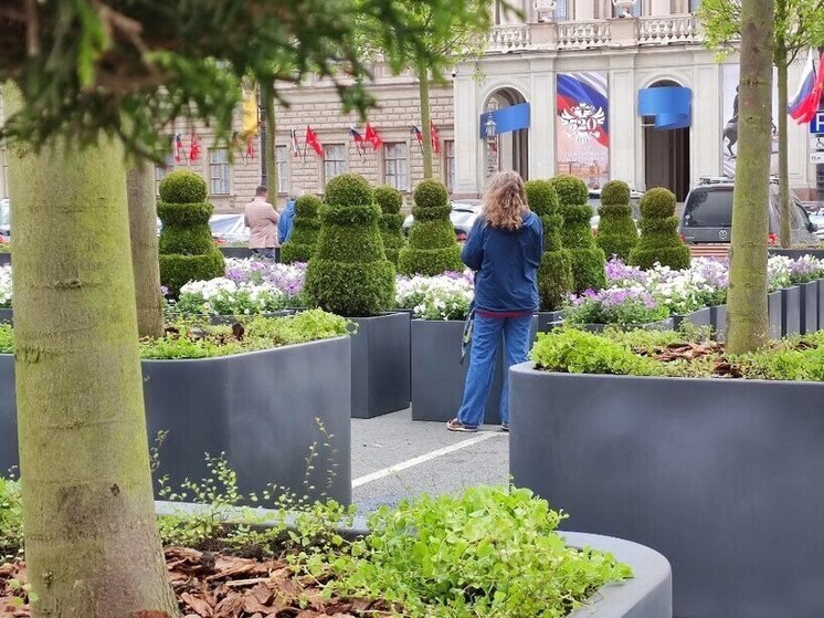 В Петербурге увеличат площадь зеленых зон почти на 300 гектаров