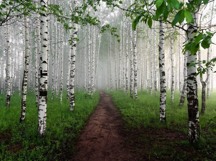 Фотографов Приангарья приглашают на конкурс "Русская цивилизация"