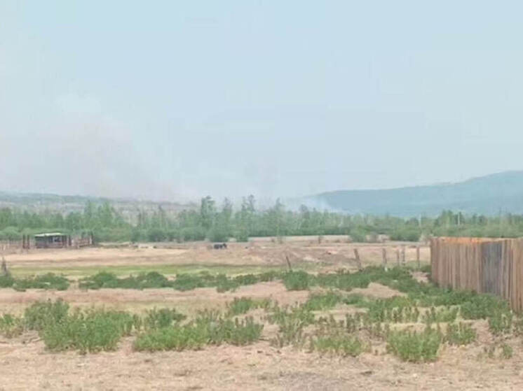 Неразминированные боеприпасы сдетонировали на бывшей базе хранения в Забайкалье