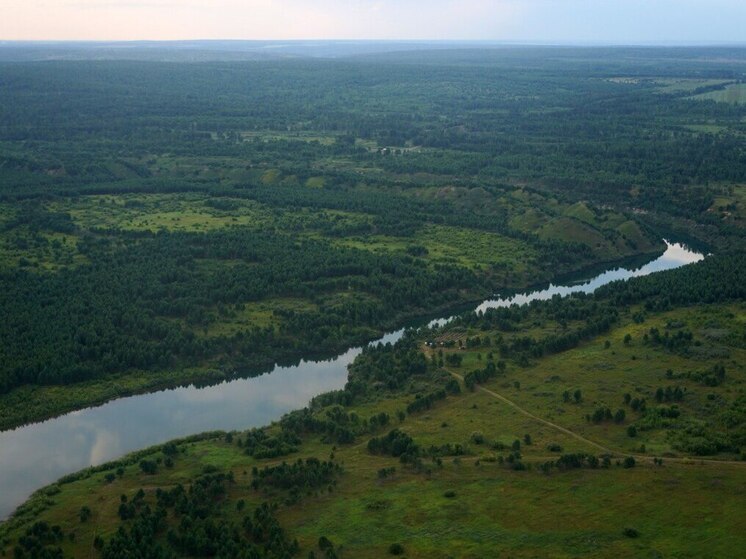 Иркутская область увеличила площадь лесного фонда