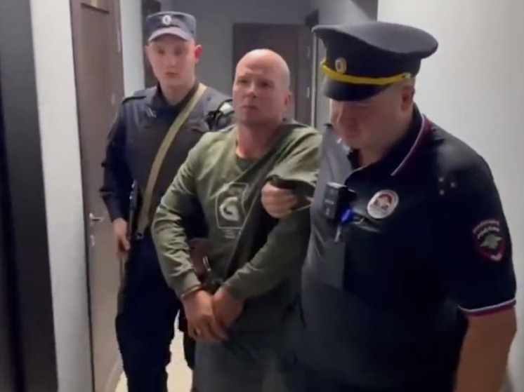 Гашиш и виски употребил белорус перед нападением на малыша в аэропорту Шереметьево