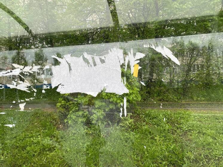 Об уборке остановочных павильонов и покосе травы жители Чувашии пишут в соцсетях