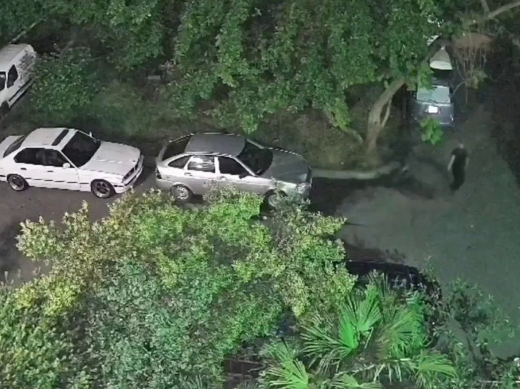 В Адлере молодые люди украли инструменты из автомобиля