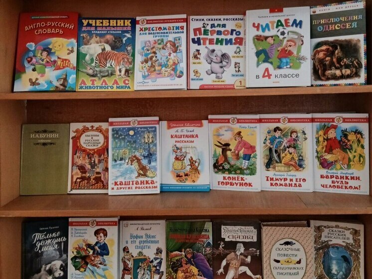 Рязанская область передала партию детских книг в Новокаховскую библиотеку