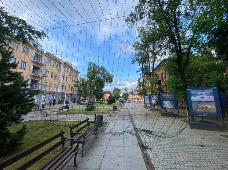 Упавшее дерево оперативно ликвидировали на улице Пушкина в Пскове