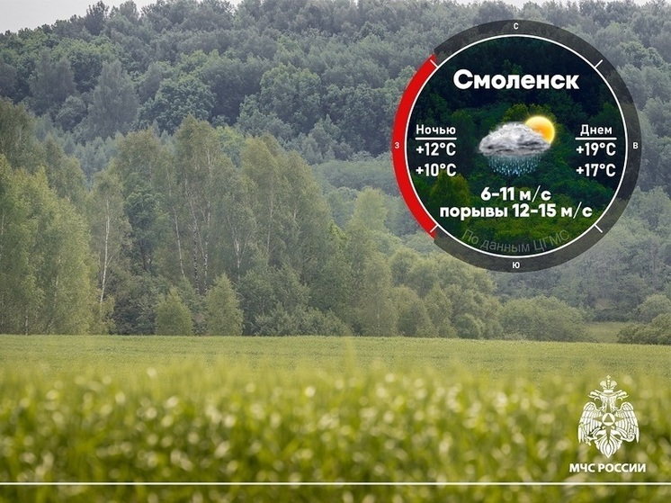 Завтра в Смоленске и области будет дождливо