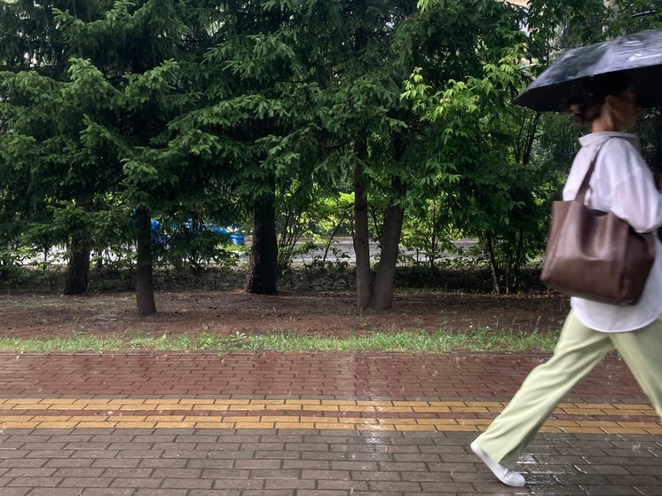 Столбики термометров ночью 26 июня в Томской области опустятся до +4