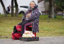 Как показывают результаты опроса, проведенного одним из сервисов по трудоустройству, многие пенсионеры не собираются сидеть сложа руки и ждать, когда государство проиндексирует им выплаты