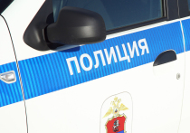 Двое молодых людей найдены мертвыми в окрестностях подмосковной Ивантеевки