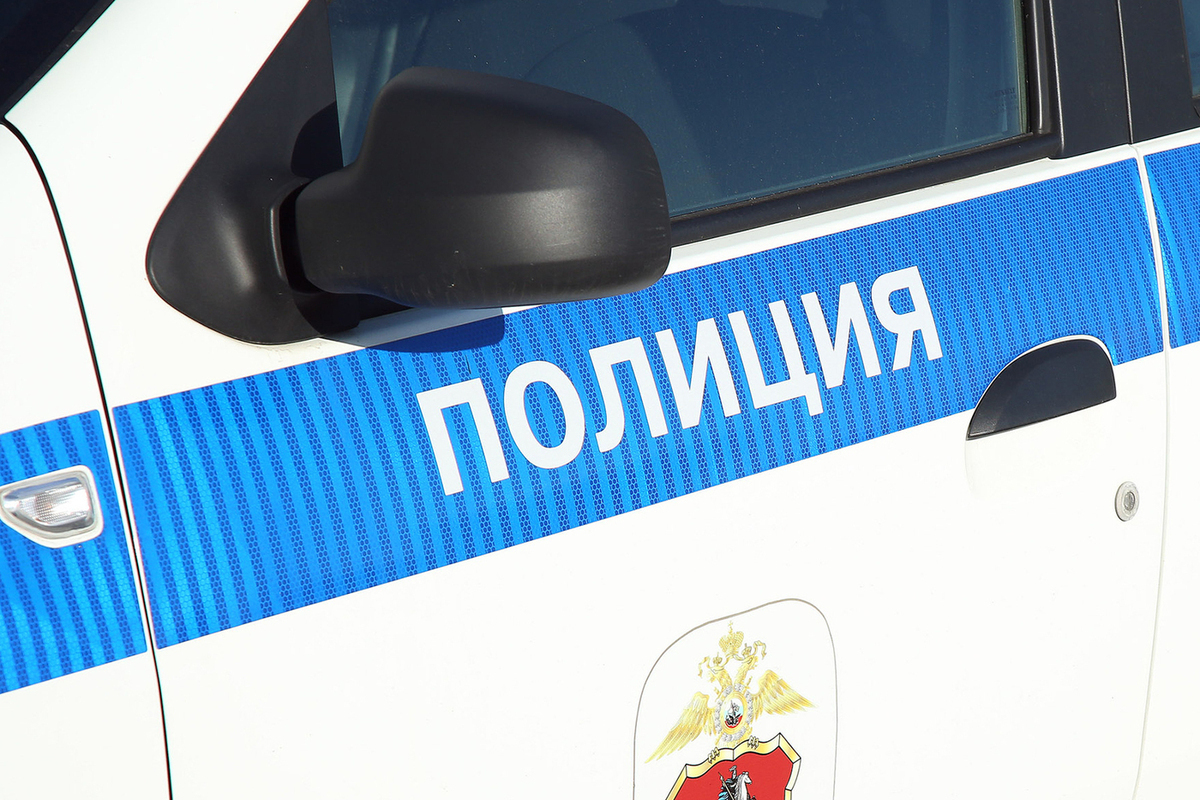 Полиция выясняет причину смерти двоих молодых людей в Подмосковье