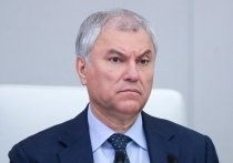 Как помочь русскому языку набрать вес и какой должна быть правильная «идеологическая музыка», чтобы страны СНГ заиграли как один оркестр, решали в среду в Госдуме