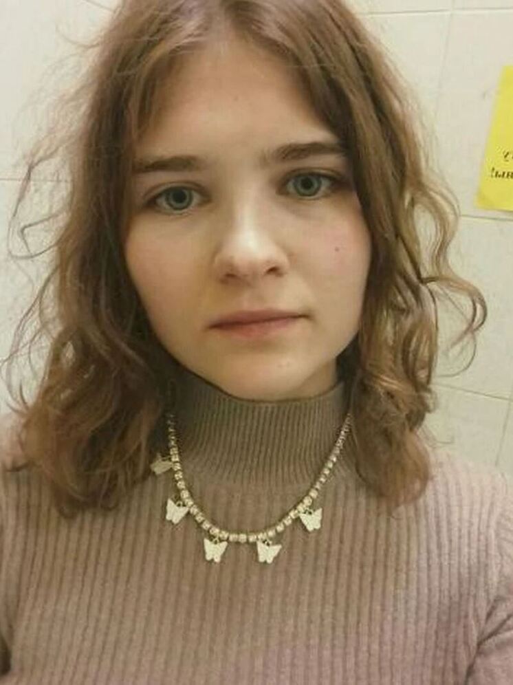 Друзья и знакомые «похищенной» Паниной не верят в версию с челленджом
