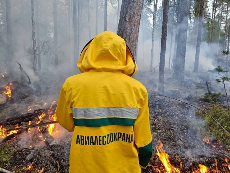 Кировская область протянула руку помощи Бурятии в борьбе с лесными пожарами