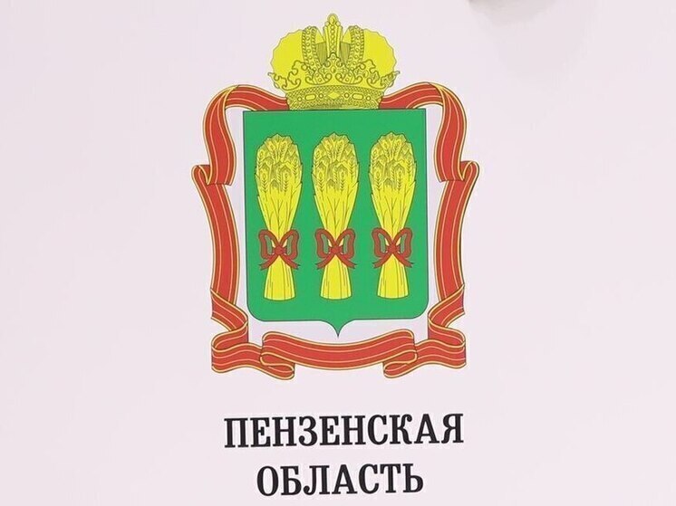 Над Пензенской областью сбит еще один беспилотник