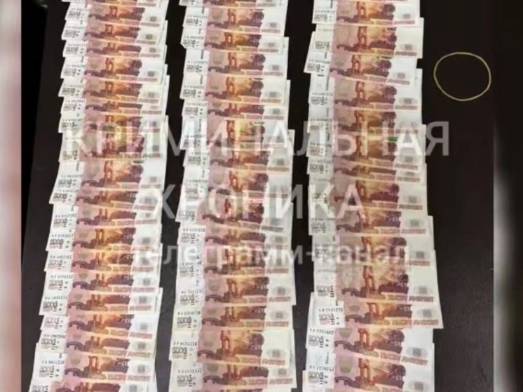 Более 5 млн руб нашли при обысках в кабинетах руководства ДГАУ