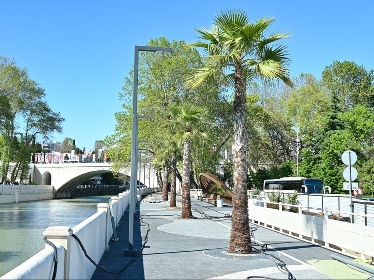 Ясную погоду прогнозируют в Сочи в ближайшие дни