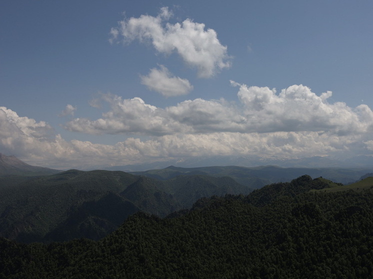 Турэксперт заявил, что слова о нищих туристах не отпугнули россиян от Абхазии