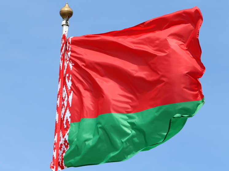 Руководитель МИД Белоруссии Рыженков: интерес к теме Украины снижается