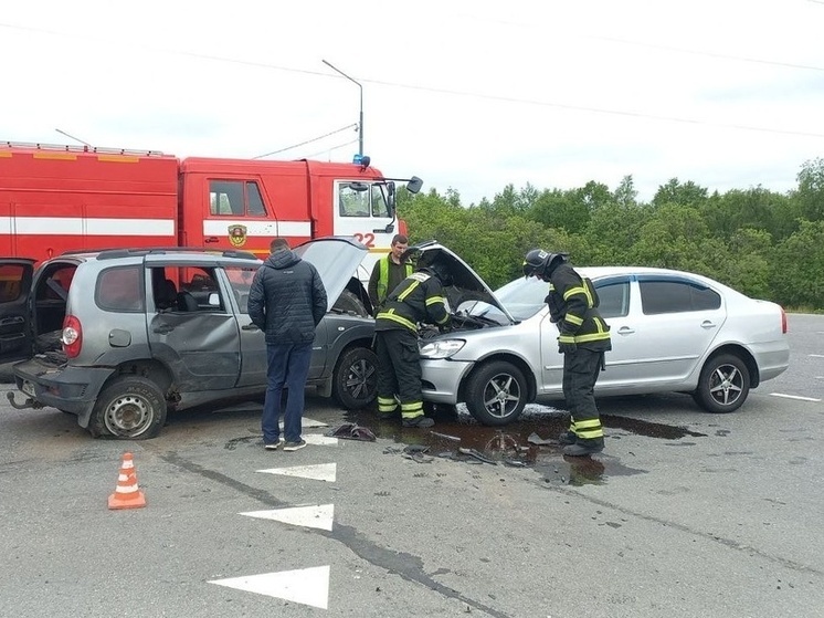 В аварии в Кольском районе пострадал один человек
