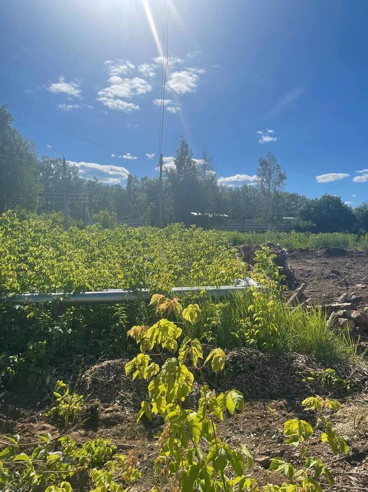 В Новочебоксарске прокуратура восстановила права предпринимателей