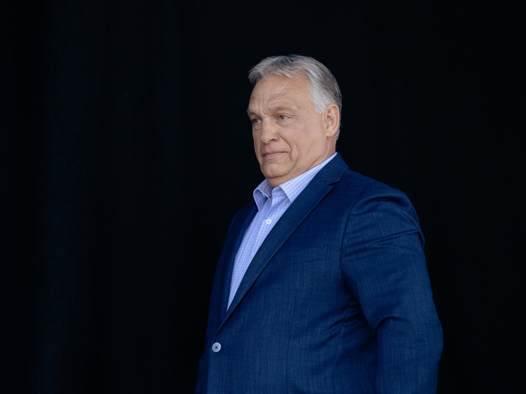 Орбан: выступающие против вступления Украины в НАТО победили в Гааге