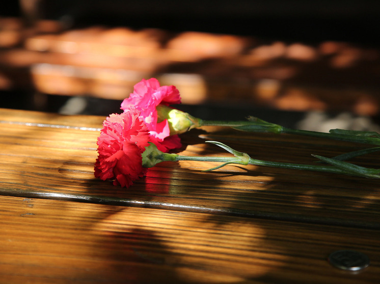 РИА: награжденный Путиным студент Гукежев погиб, пытаясь спасти девочку от дрона