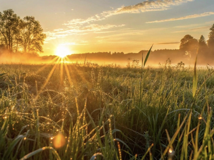 Климатолог Алексей Непомнящих объяснил колебания погодных условий в Новосибирске