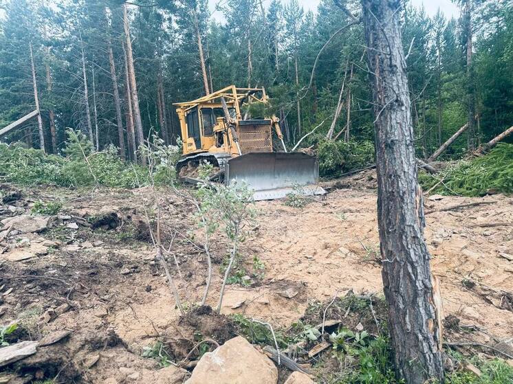 Вблизи Улан-Удэ на площади 180 гектаров потушен лесной пожар, горевший с 20 июня
