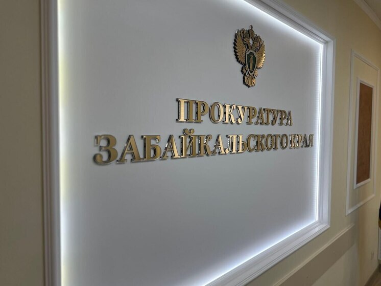Жителя Чернышевска отправят в колонию за долги по алиментам на дочь