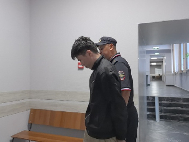 В Новосибирске суд заключил под стражу нелегального мигранта по обвинению в изнасиловании жительницы Барнаула