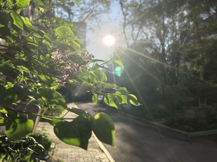 Хабаровск накрыла жара: температура приближается к рекордам 2010 года