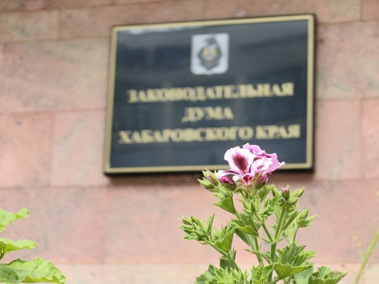 Многодетные семьи Хабаровского края будут получать 5000 тысяч на школьников ежегодно