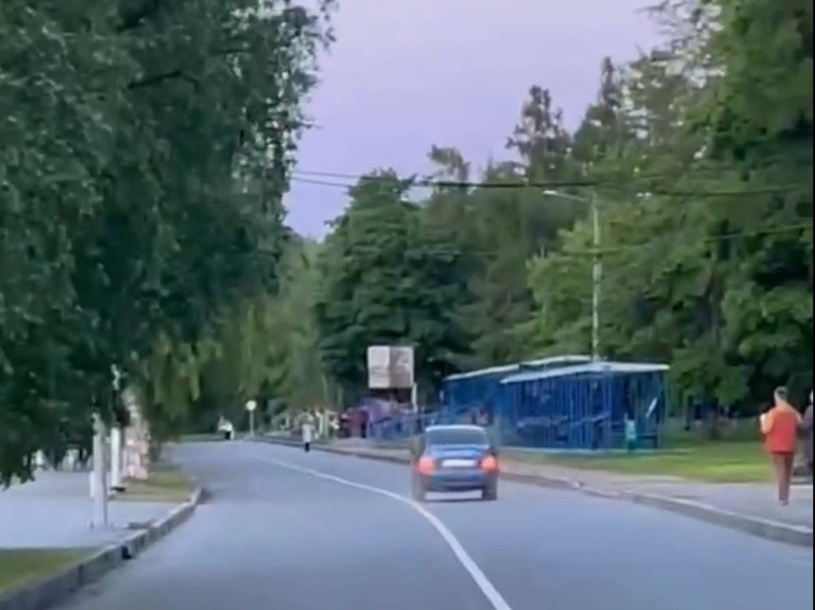 В Петрозаводске арестовали водителя за езду по велодорожке