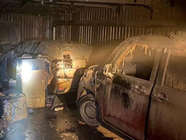В Комсомольске-на-Амуре при пожаре в гараже погиб мужчина
