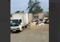 Во Владивостоке на улице Серова вновь возникла критическая ситуация с вывозом мусора