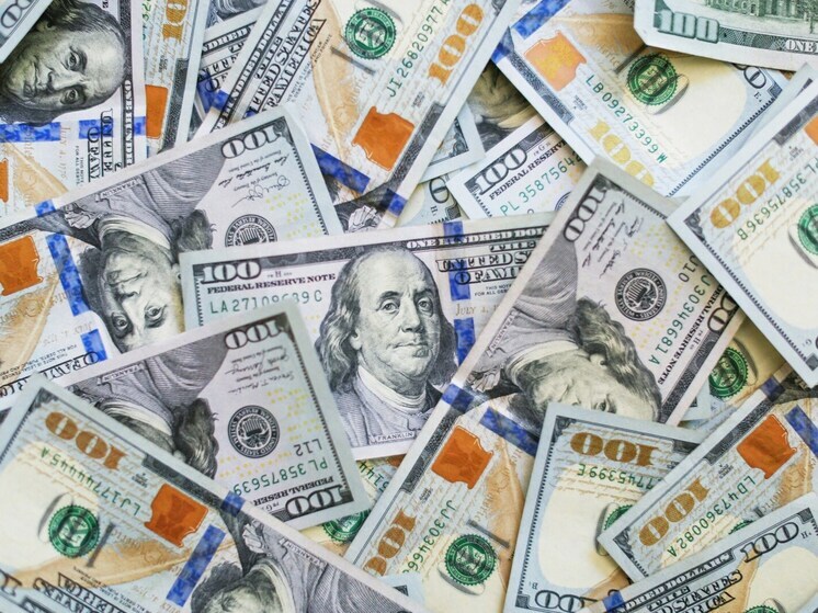 Долги больше чем на $1 млн простил резидент ОЭЗ «Липецк» иностранным клиентам
