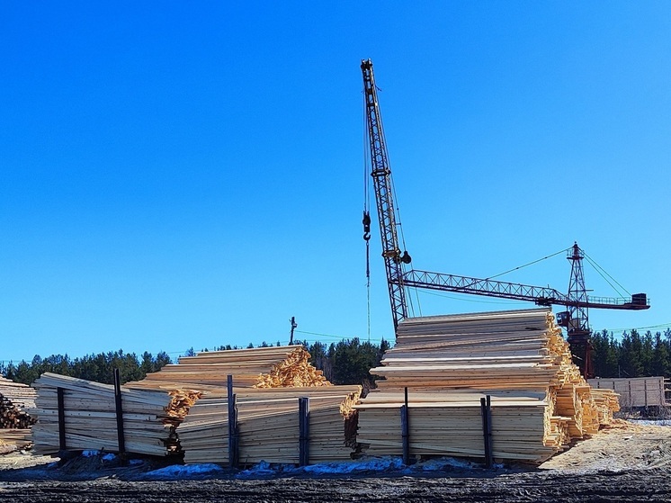 Контрабанду лесоматериалов на 10,3 млн рублей раскрыли в Томской области