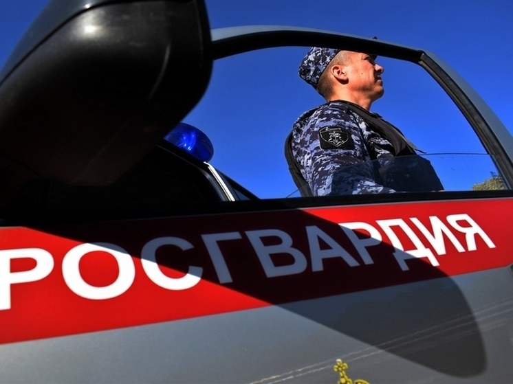 Росгвардейцы задержали пензячку за кражу в торговом центре
