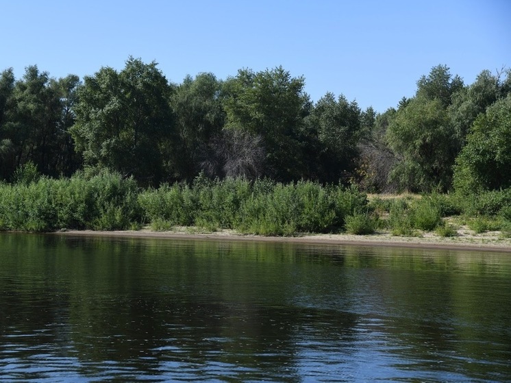 В Астраханской области утонули двое детей