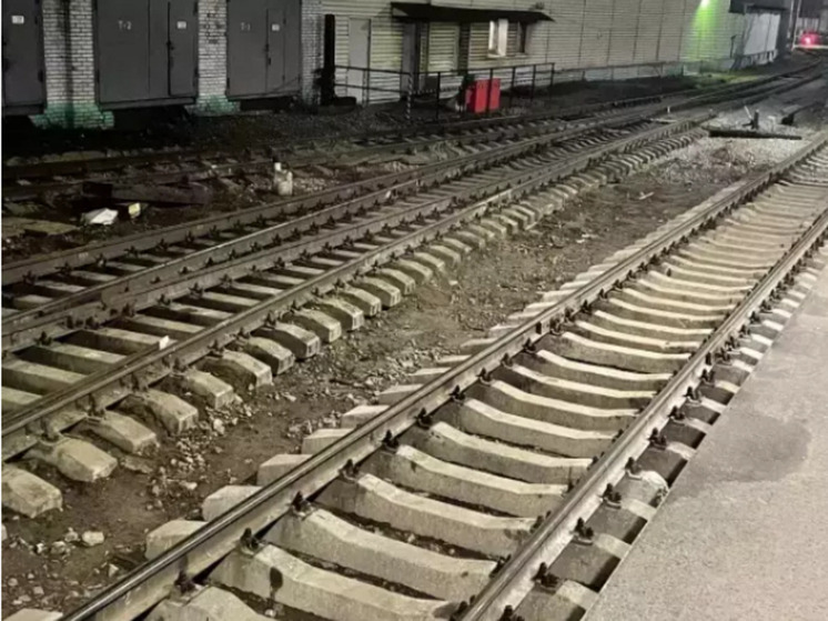 Студента из Ростовской области  насмерть задавило арматурой в товарном поезде