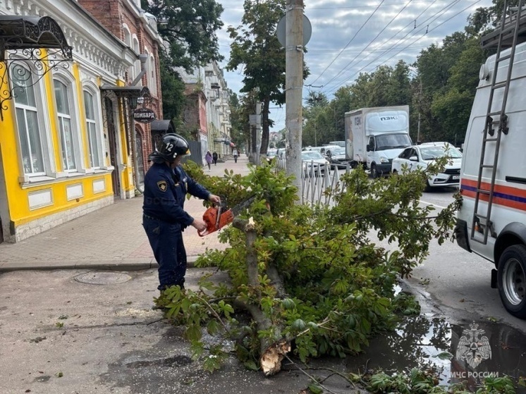 Орловские спасатели помогли убрать упавшее дерево