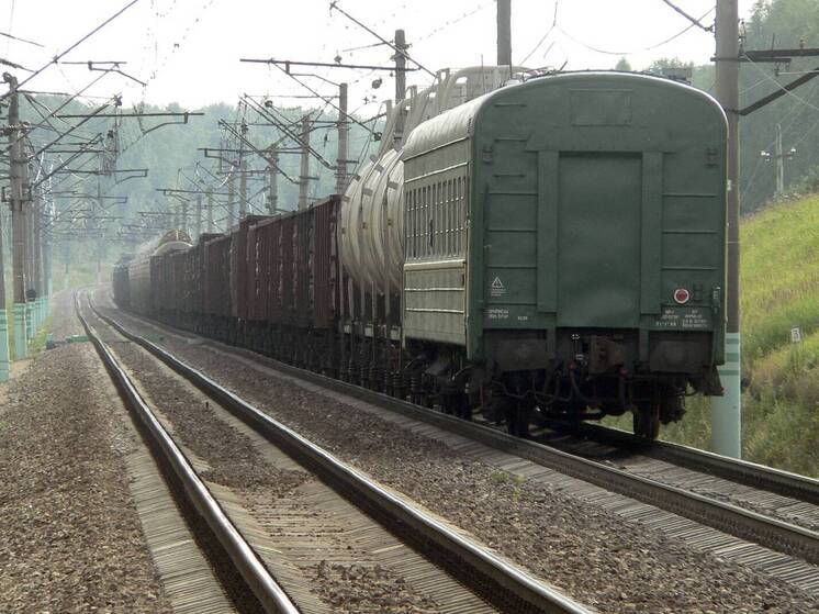 Тела двух юношей обнаружили в товарном поезде на территории Подмосковья