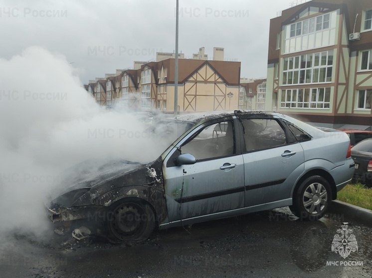 На правом берегу Калуги вспыхнул пожар