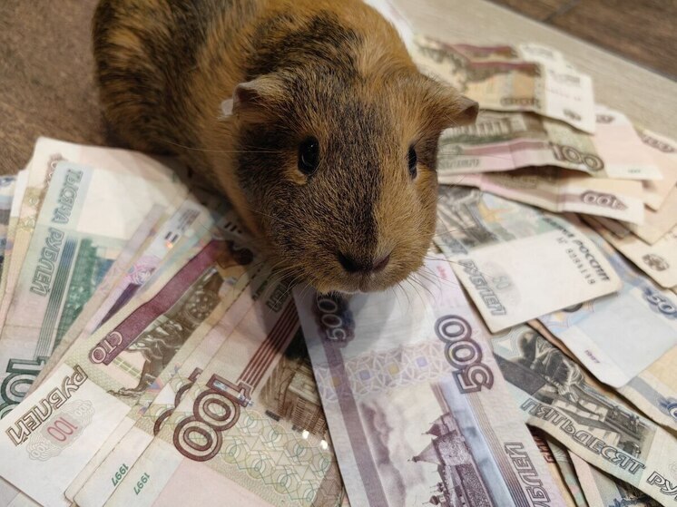 Хабаровчанка получила условный срок за выдуманного ребенка