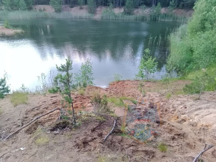 В водоёме в Ломоносовском районе утонул 16-летний подросток