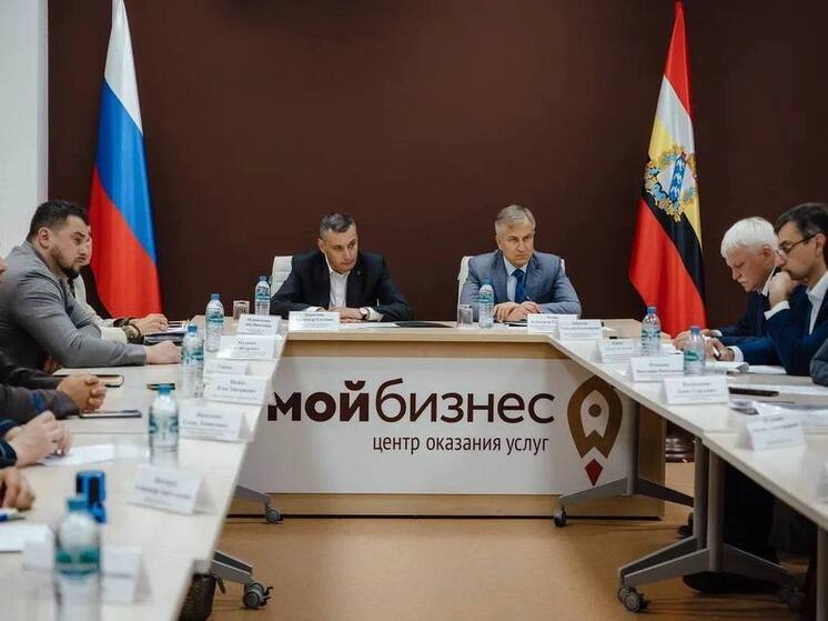 Хинштейн рассказал о мерах поддержки для предпринимателей курского приграничья