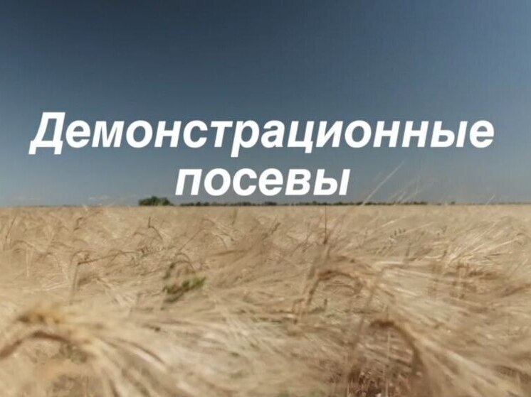 Более 7 НИИ России предоставили семена для демопосевов в Запорожской области