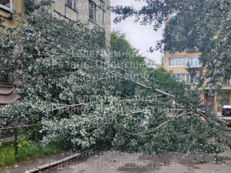 На улице 3-и Бутырки в Рязани рухнувшее дерево перекрыло проезд